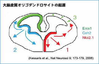 Kessaris's model